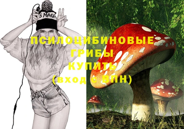 молекула духа Армянск