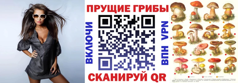 Галлюциногенные грибы прущие грибы  ОМГ ОМГ сайт  Каменка 
